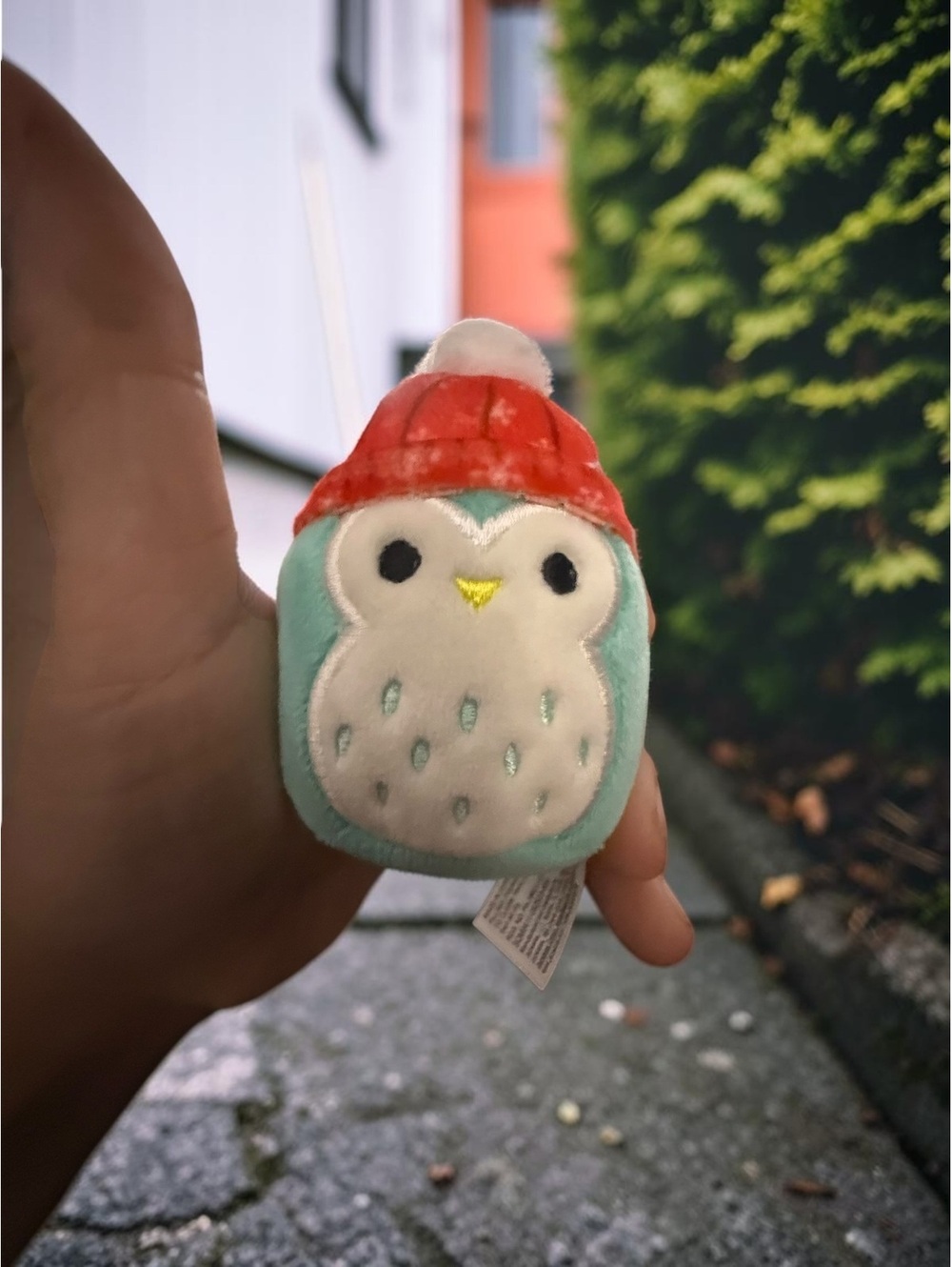 Squishmallows Winston Teal Owl Red Winter Hat Holiday Mini Plush